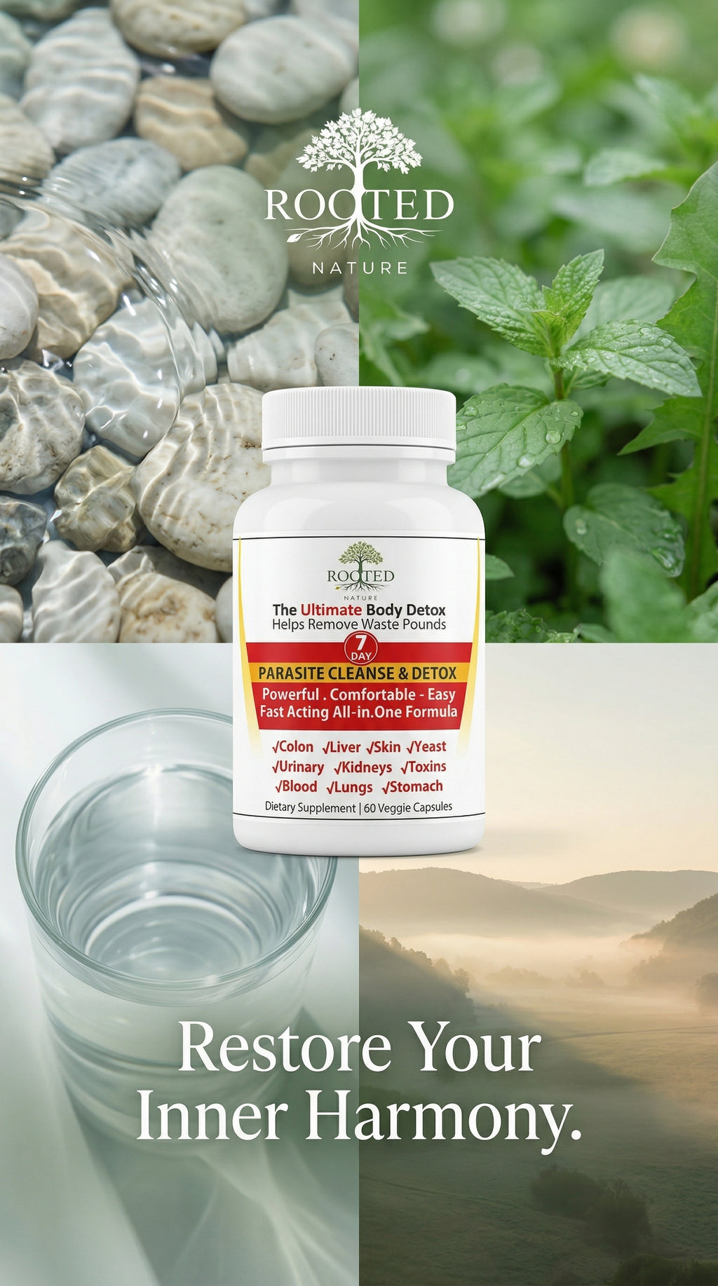 Parasite Cleanse